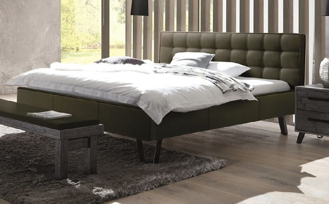 HASENA • DREAM LINE